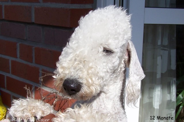 100_8420 - Kopie.JPG